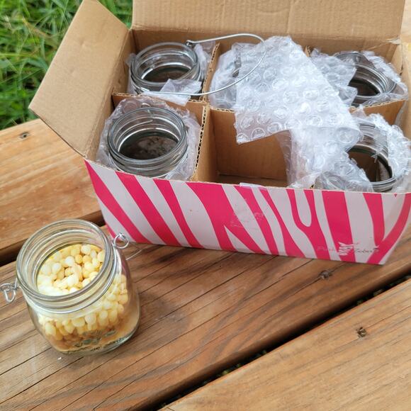 Pink Zebra Glimmer DIY Candle Kit | 6 Petite Mason Jar Set w Wicks (Display set) - Picture 6 of 6